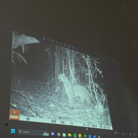 WhatsApp Image 2024-08-20 at 1.57.34 PM