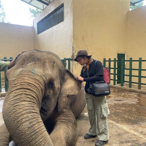 WhatsApp Image 2024-08-20 at 2.09.19 PM