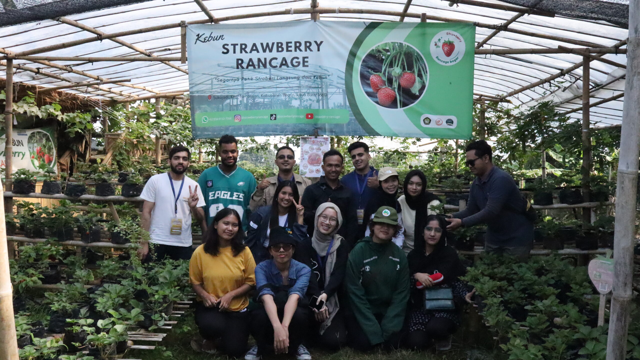 Strawberry Cultivation