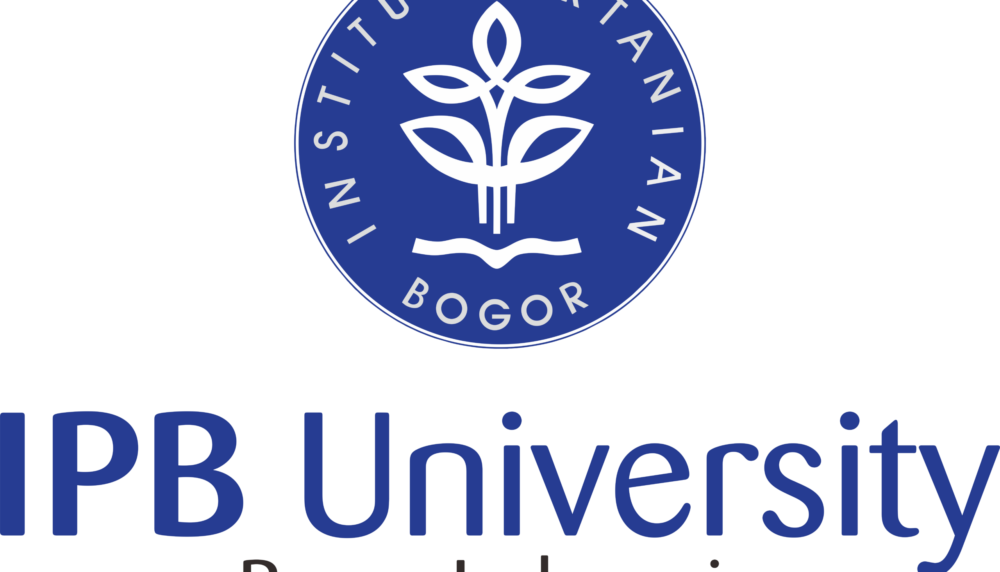 Scholarship - International Education